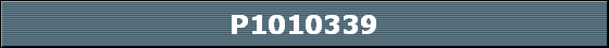 P1010339