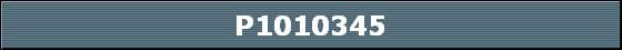 P1010345