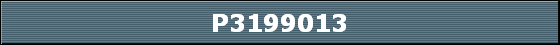 P3199013