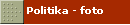 Politika - foto