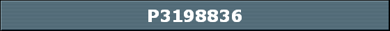P3198836