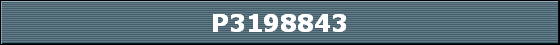 P3198843
