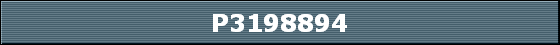P3198894