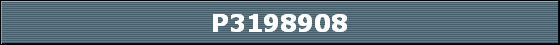 P3198908