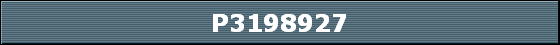 P3198927