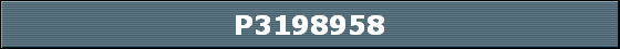 P3198958