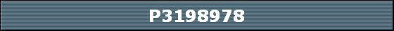 P3198978
