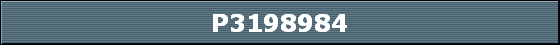 P3198984